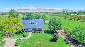 3428 C 1/2 Rd, Palisade, CO 81526