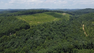 0 Price Glade Run, Cowen, WV 26206