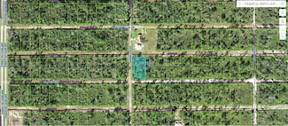224 Camellia Dr, Lake Wales, FL 33855