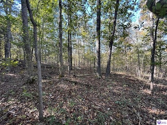 579 Hudson Fairfield Rd, Hudson, KY 40145