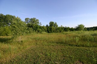 1400 apx W Exchange St, Crete, IL 60417