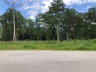 142 County Road 6324b, Dayton, TX 77535