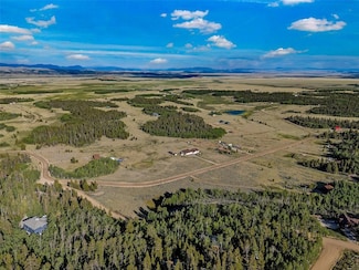 1430 Coil Dr, Fairplay, CO 80440