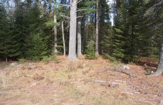 8072 Lost Lake Dr S, Saint Germain, WI 54558