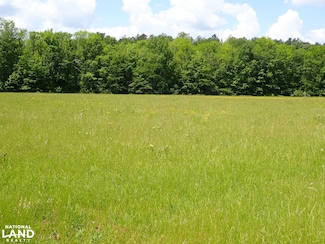 0 County Road 24, Pine Apple, AL 36768