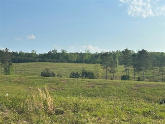 0 Needmore Rd Unit (345 37 Acres), Roopville, GA 30170