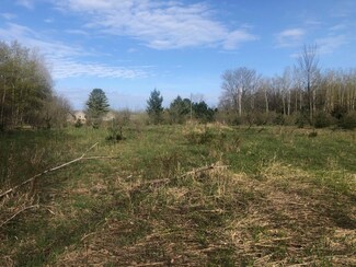 6795 Siegfried Rd, Brown Township, MI 49645