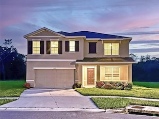 33351 Apricot Tree Ct, Wesley Chapel, FL 33543