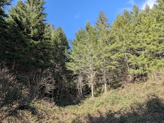 5208 Highway 99, Drain, OR 97435