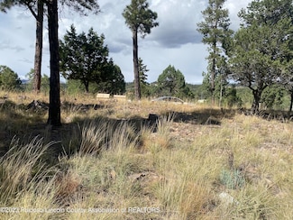 204 Timberline Place, Ruidoso, NM 88345