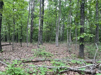 0 Tract W Off of Meadow Creek Dr, Harrison, AR 72601