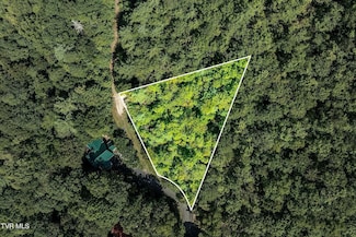 410 Ivy Wood Ln, Mountain City, TN 37683