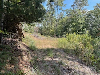 25 W Keesler St, Black Mountain, NC 28711