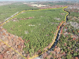 0 Eureka Mill Rd Unit 350153, Keysville, VA 23947