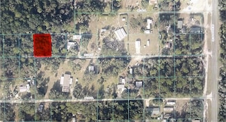 TBD NE 206th St, Fort Mc Coy, FL 32134