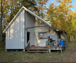 Off Forest Road 250, Bergland Township, MI 49947