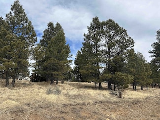 Lot 1288 Torrey Pines Ln, Angel Fire, NM 87710