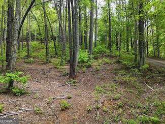 TRACT 3C Riverside Dr, Hiawassee, GA 30546