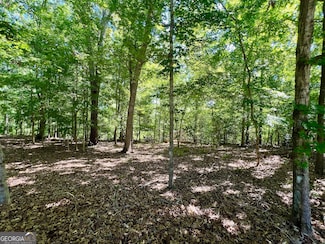 0 Creekwood Ct Unit 10338701, Sandersville, GA 31082