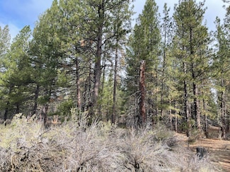 0 S Waterview Way Unit Lot 5 220182963, Chiloquin, OR 97624