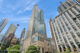 132 E Delaware Place Unit 6101, Chicago, IL 60611