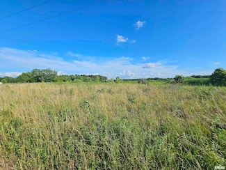 0000 E Bakersville Rd, Belle Rive, IL 62810