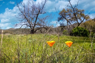 540 Music Gulch Rd, Mokelumne Hill, CA 95245