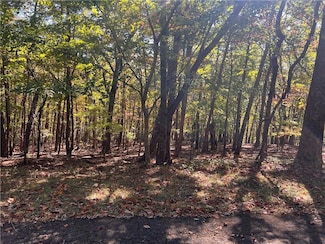 4428 Bee Tree Ridge Dr, Jasper, GA 30143