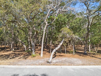 736 Beaufain St SW, Supply, NC 28462