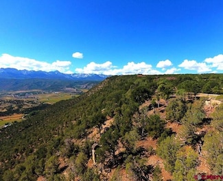 tbd Pine Dr, Ridgway, CO 81432