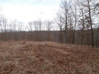 904 State Hwy Dd, Bruner, MO 65620