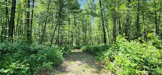 1230 Silverbrook Rd, Randle, WA 98377