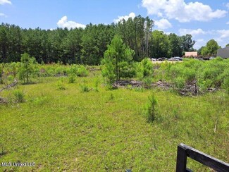 000 U S 49, Mendenhall, MS 39114