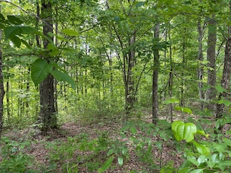 Lot 37 Icy Cove Trail, Monterey, TN 38574