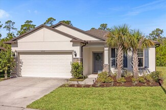 17477 Butterfly Pea Ct, Clermont, FL 34714