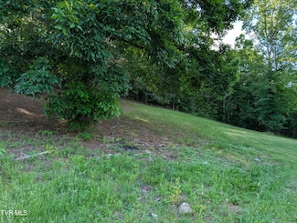 Tbd Hilton Rd, Gate City, VA 24251