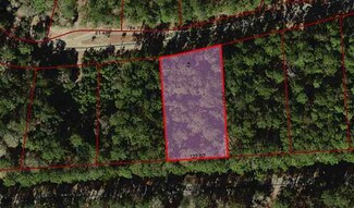 Lot 49 Lantana Cir Unit Lot 49, Patewood Nor, Georgetown, SC 29440