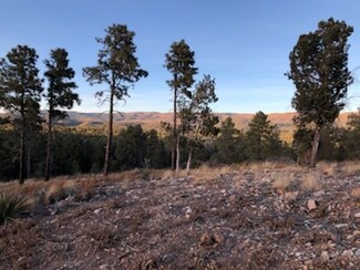 10 Buckwood Dr Unit 64, Timberon, NM 88350