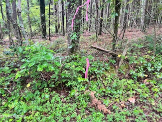 0 Prigmore Ridge Rd Unit 1310658, Decatur, TN 37322