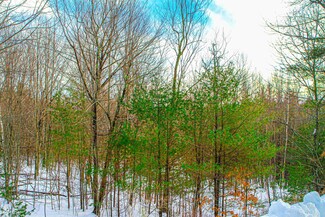 7 Lady Slipper Ln Unit 158 / 002 / 000 /, Moultonborough, NH 03254