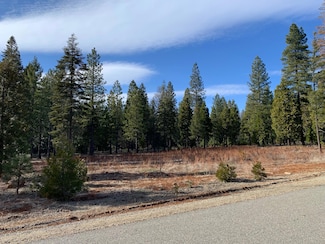 Lot 27 Princess Pine, Shingletown, CA 96088