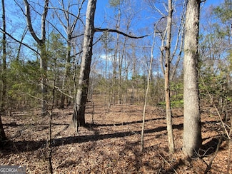 LOT 6 Majestic Shores Rd, Reed Creek, GA 30643