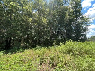 TBD NE 175 Ave, Williston, FL 32696