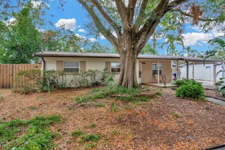 807 Monaco Dr, Tampa, FL 33613