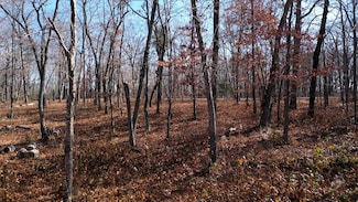 7911 Hixson Springs Rd, Signal Mountain, TN 37377