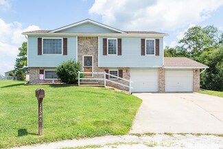 17546 Bass Ln, Brighton, IL 62012