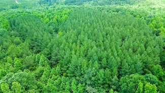 Will Arrington Dr, Whistler, MS 39367