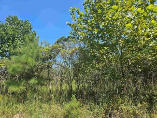 00 Hubanks Rd, Finger, TN 38334