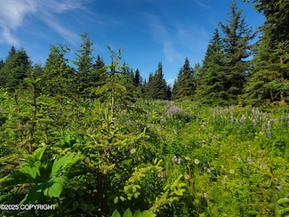 17617 Kimeluk St, Ninilchik, AK 99639