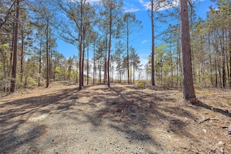 700 Piney Creek Estates Rd, Timpson, TX 75975